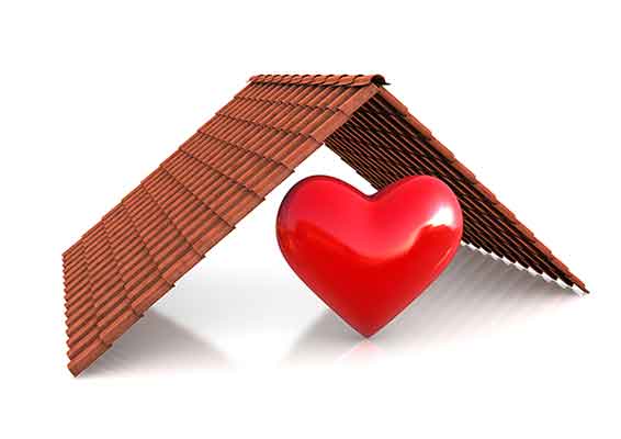Roof Repair Insurance Claims Services