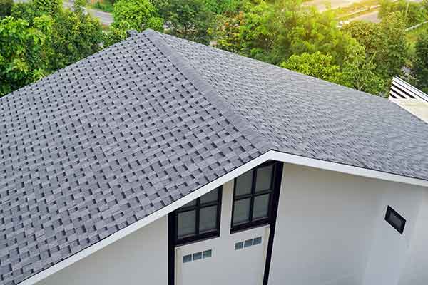 Roofing Repair and Replacement Services